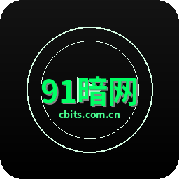 91暗网